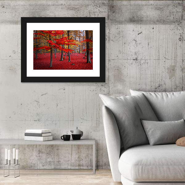 Red Trees In The Forest During Fall Canvas Wall Art