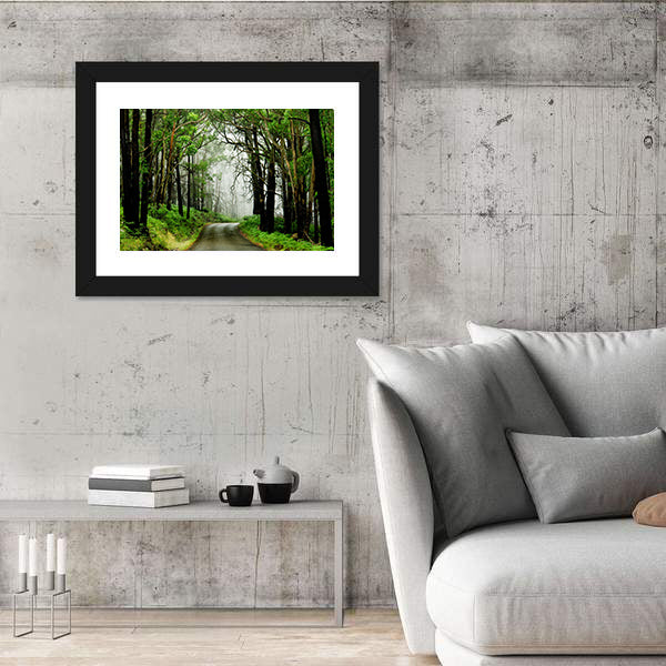 Forest Road With Fog Canvas Wall Art