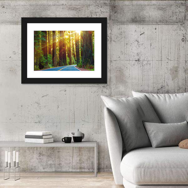 Redwood Highway In Northern California Canvas Wall Art