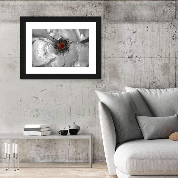 Selective Color Macro Flower Canvas Wall Art