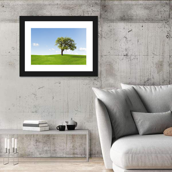 Solitary Tree on Sunny Green Hill Canvas Wall Art