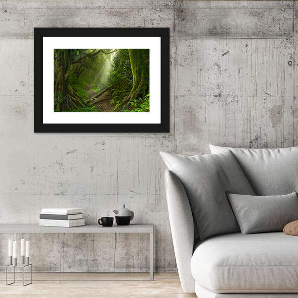 Asian Rain Forest With Sun Rays Canvas Wall Art