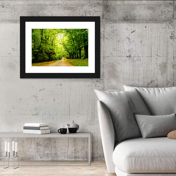 Path In The Forest Woods Canvas Wall Art