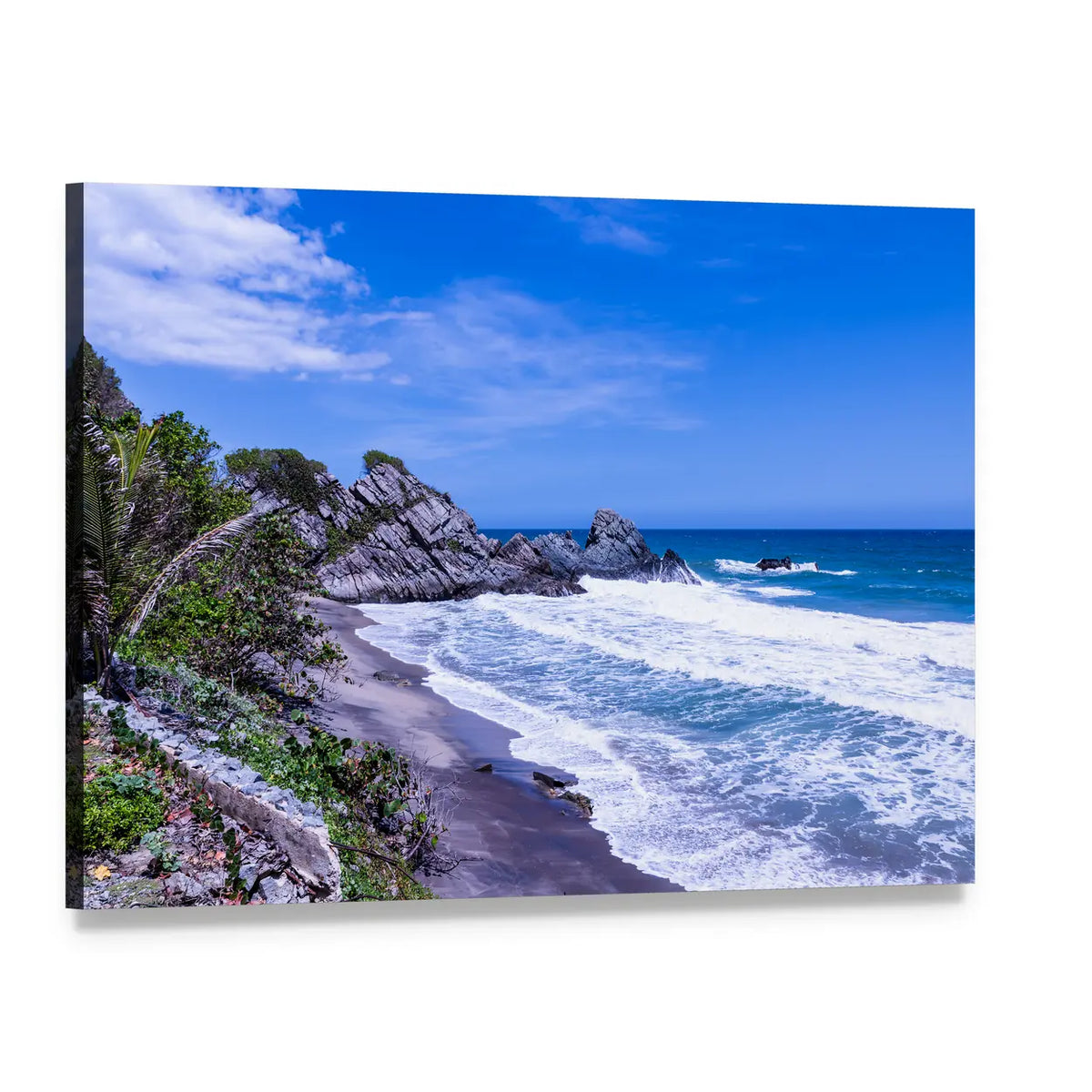 Wild Tropical Coast Canvas Wall Art, single panel gallery wrapped canvas, angled product view