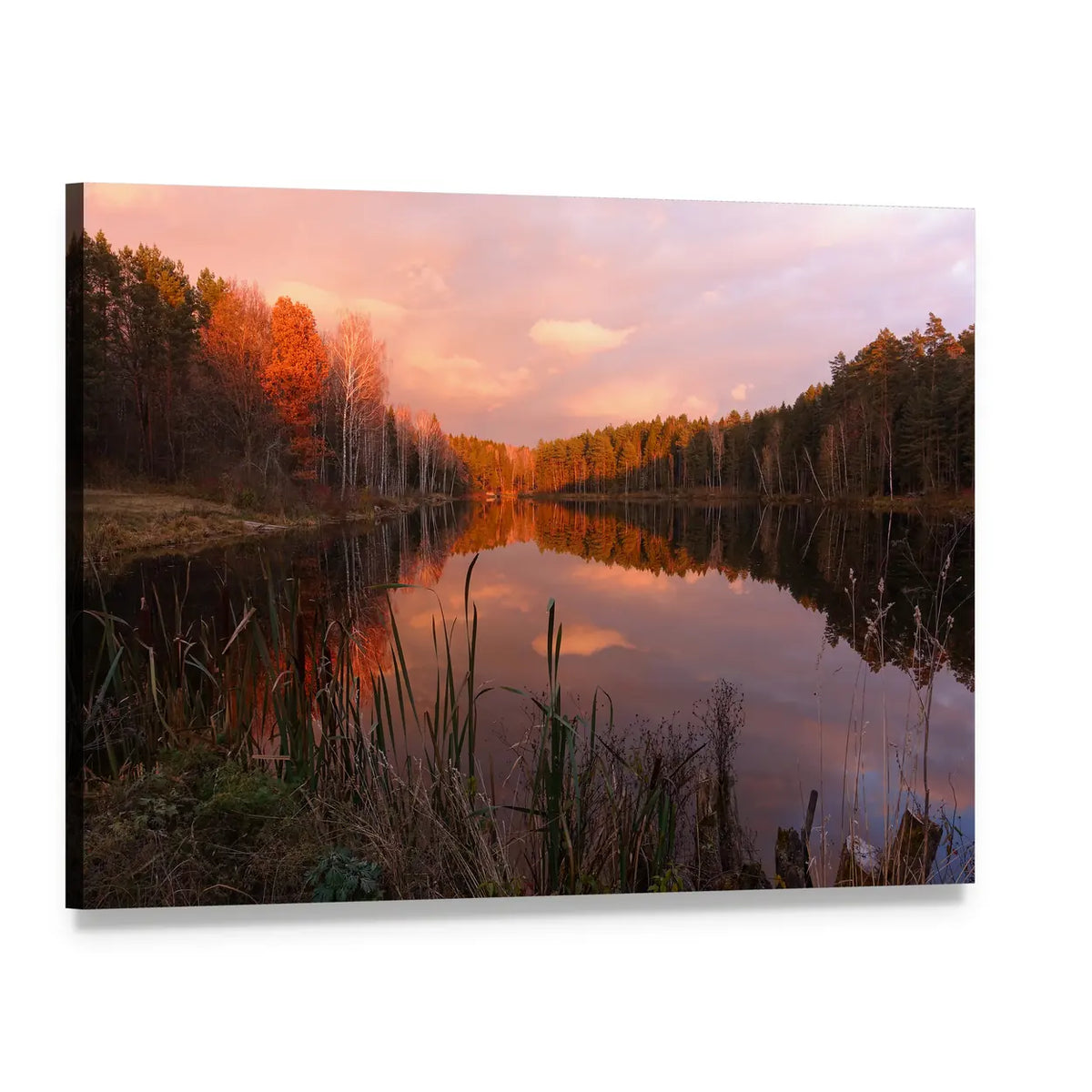 Forest Lake at Sunrise Canvas Wall Art, single panel gallery wrapped canvas, angled product view