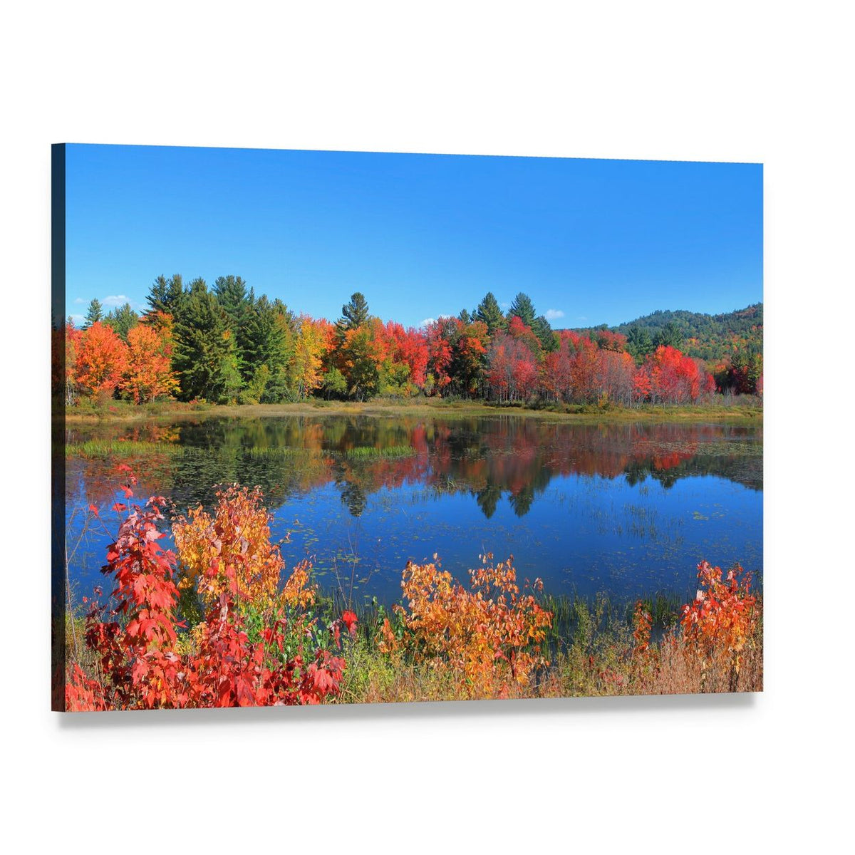 Autumn Trees Reflected in Pond Canvas Wall Art, single panel gallery wrapped canvas, angled product view