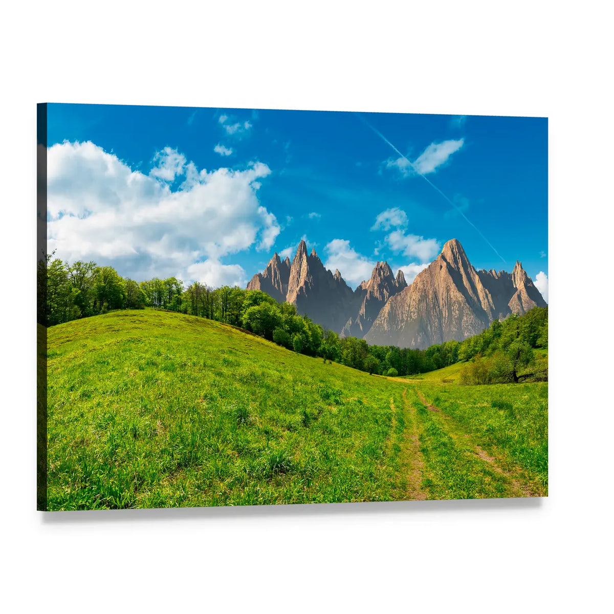 Dirt Path Through Grassy Hillside Canvas Wall Art, single panel gallery wrapped canvas, angled product view