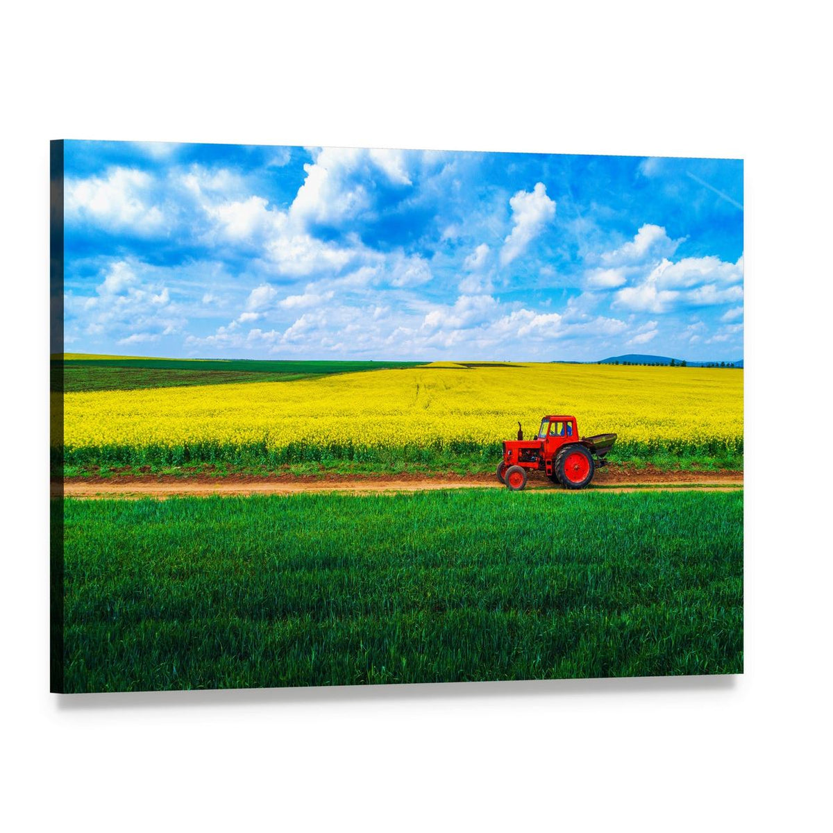 Red Tractor Between Green and Yellow Fields Canvas Wall Art, single panel gallery wrapped canvas, angled product view