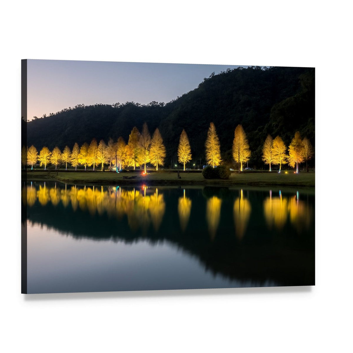 Bald Cypress Trees at Night Canvas Wall Art, single panel gallery wrapped canvas, angled product view