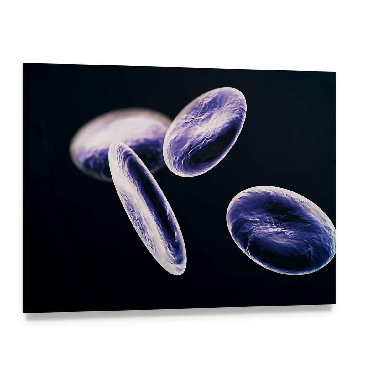 Abstract Microscopic Blood Cells Canvas Wall Art, single panel gallery wrapped canvas, angled product view