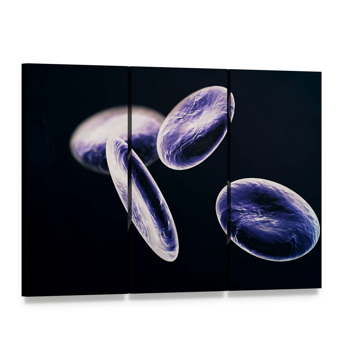 Abstract Microscopic Blood Cells Canvas Wall Art, 3 panel 3 Horizontal layout gallery wrapped canvas set, angled product view
