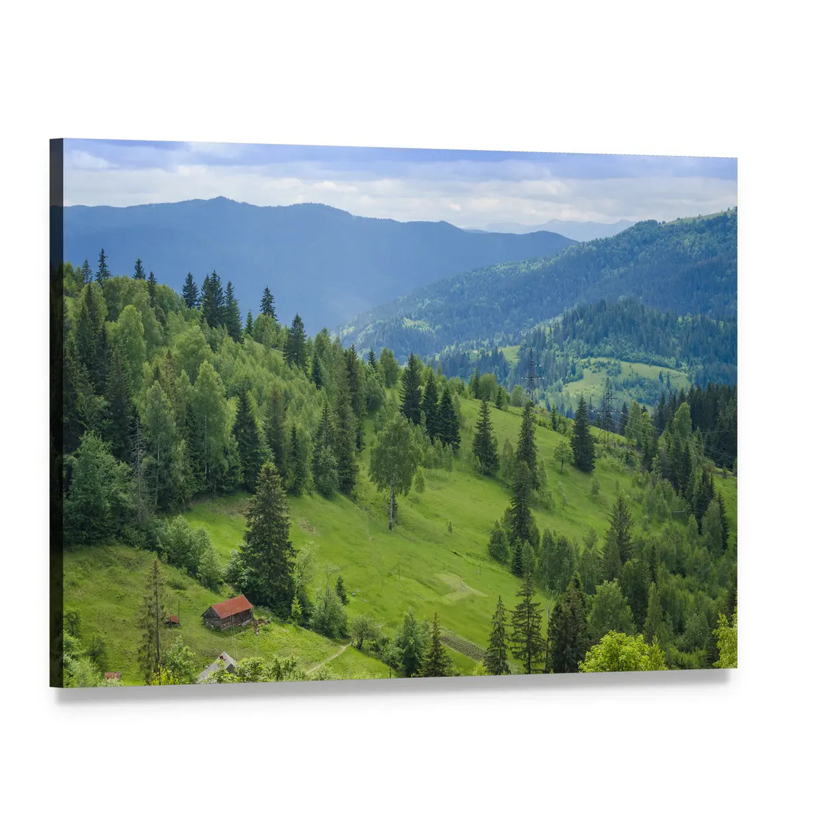 Ukrainian Mountain Valley with Red Cabin Canvas Wall Art, single panel gallery wrapped canvas, angled product view