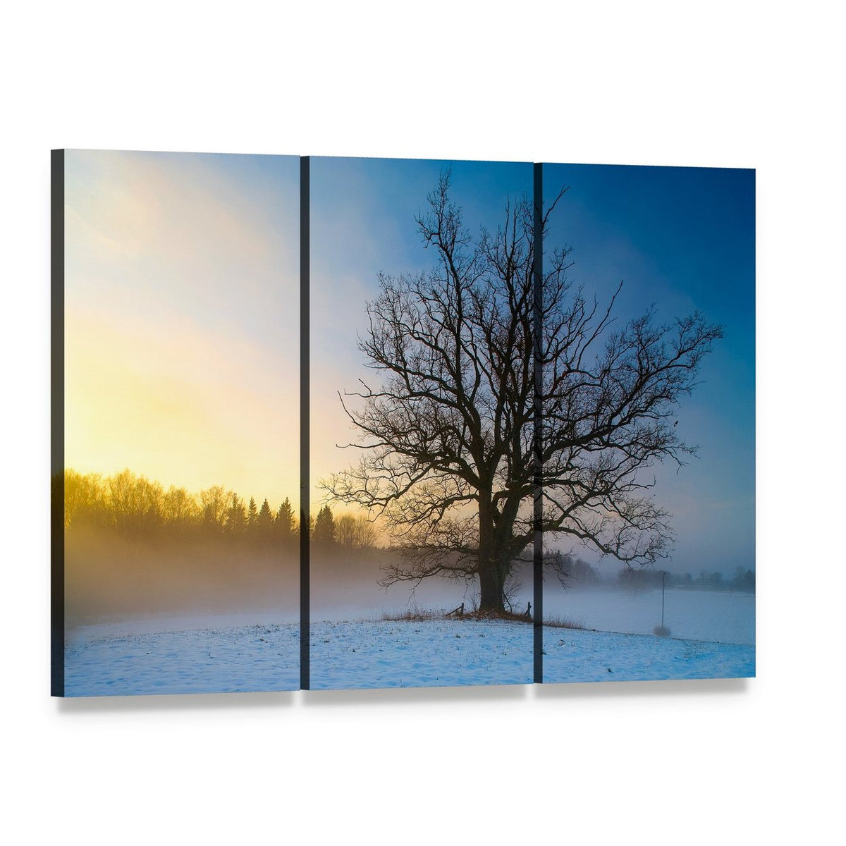 Snow Covered Tree at Sunrise Canvas Wall Art, 3 panel 3 Horizontal layout gallery wrapped canvas set, angled product view