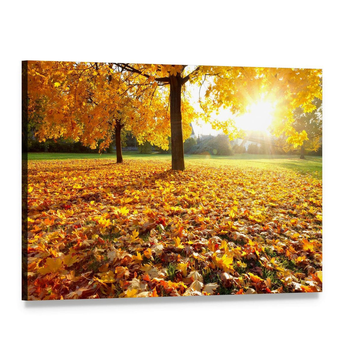Autumn Fallen Leaves Canvas Wall Art, single panel gallery wrapped canvas, angled product view