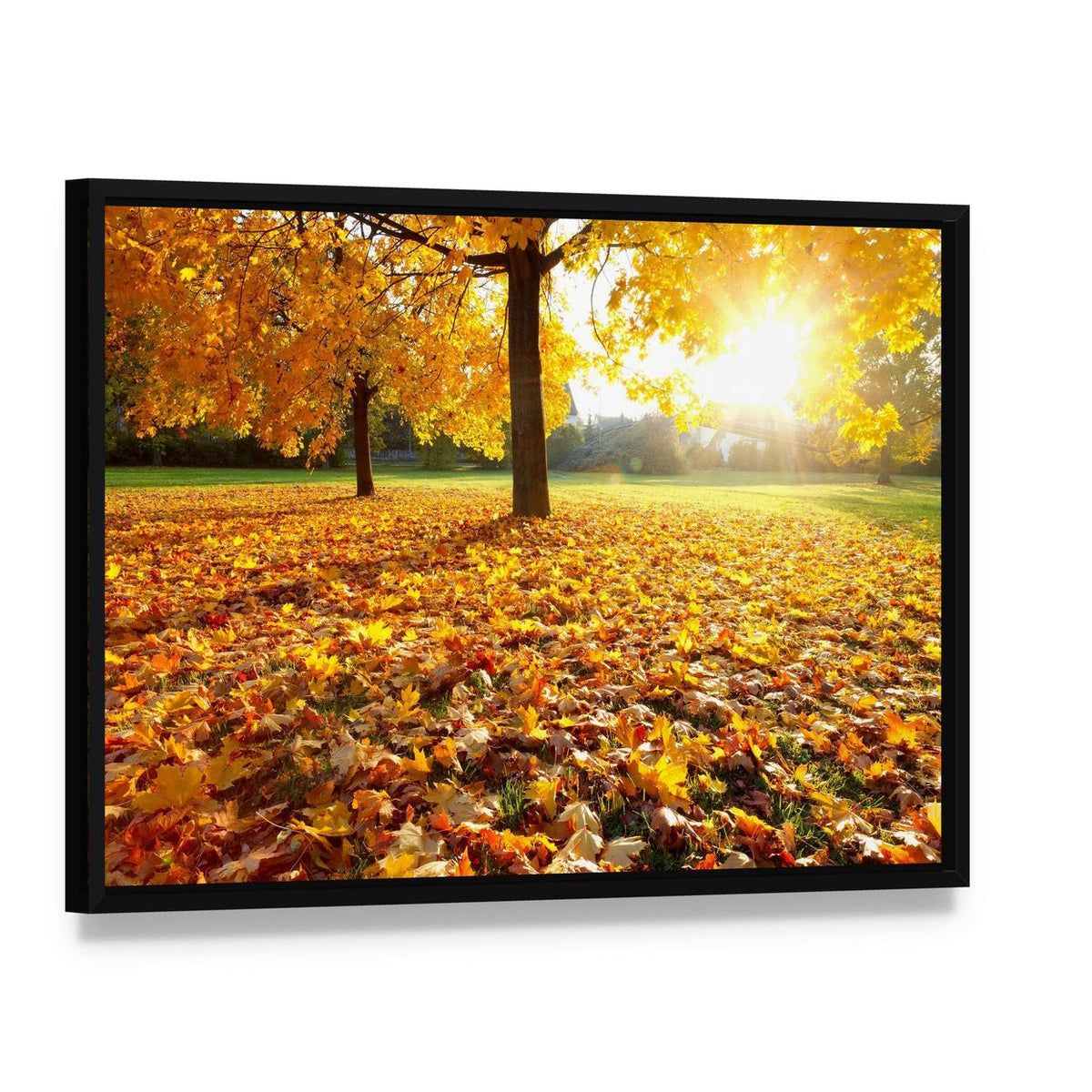 Autumn Fallen Leaves Canvas Wall Art, framed canvas in a black floater frame, angled product view
