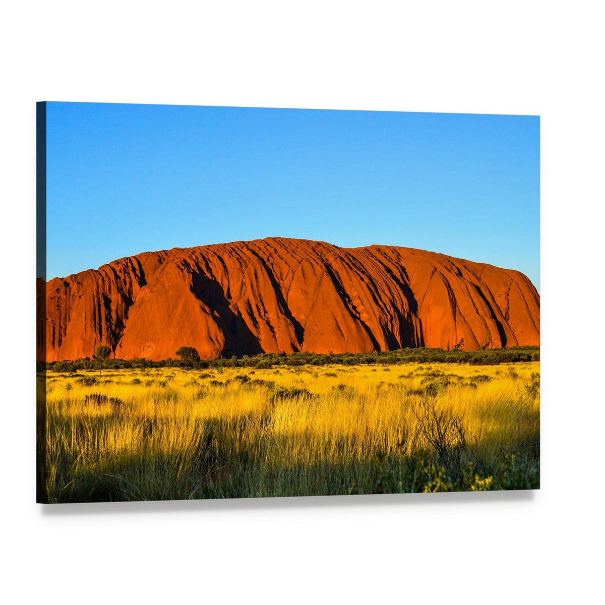 Uluru at Sunset Over Grassland Canvas Wall Art, single panel gallery wrapped canvas, angled product view