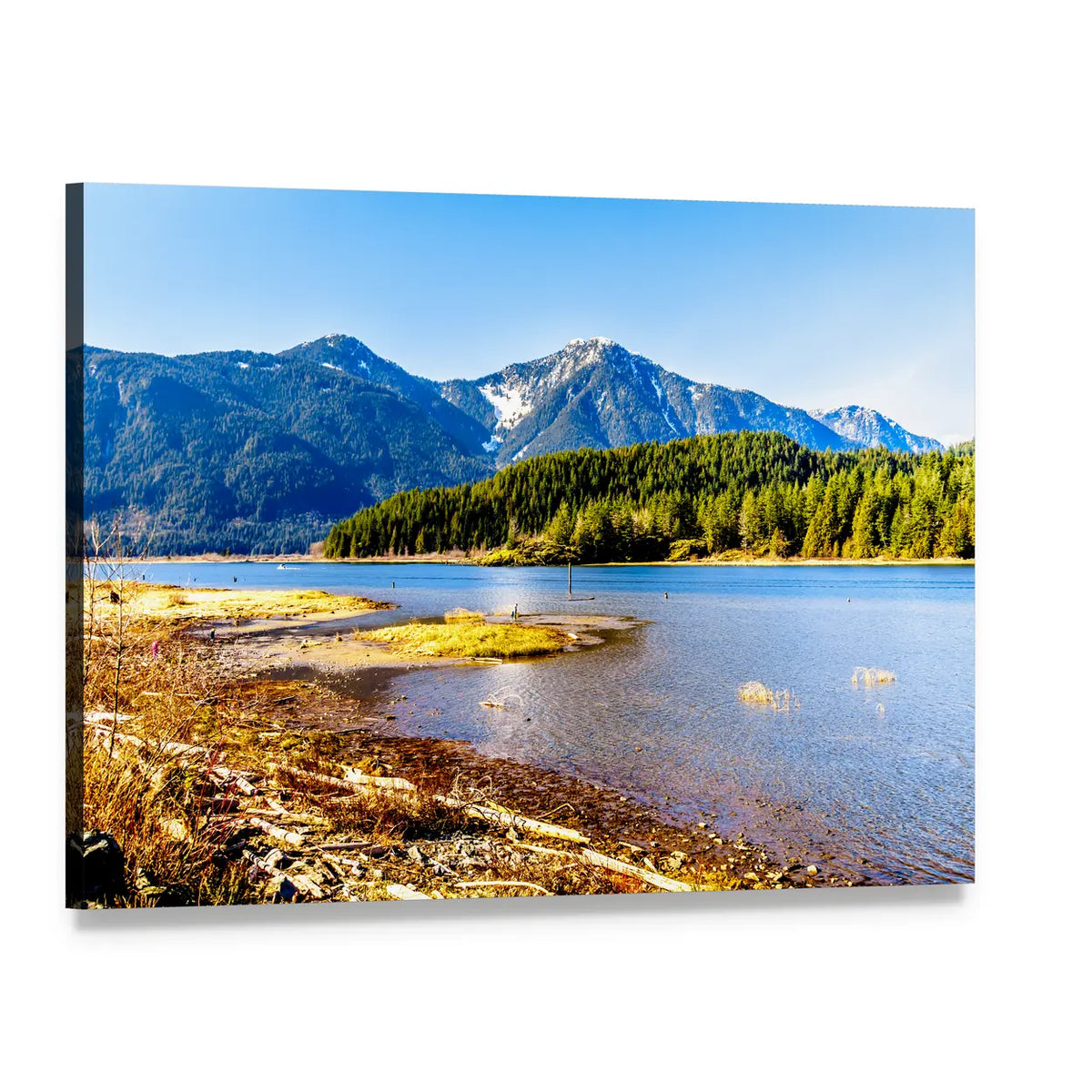 Pitt Lake with Tingle Peak Canvas Wall Art, single panel gallery wrapped canvas, angled product view