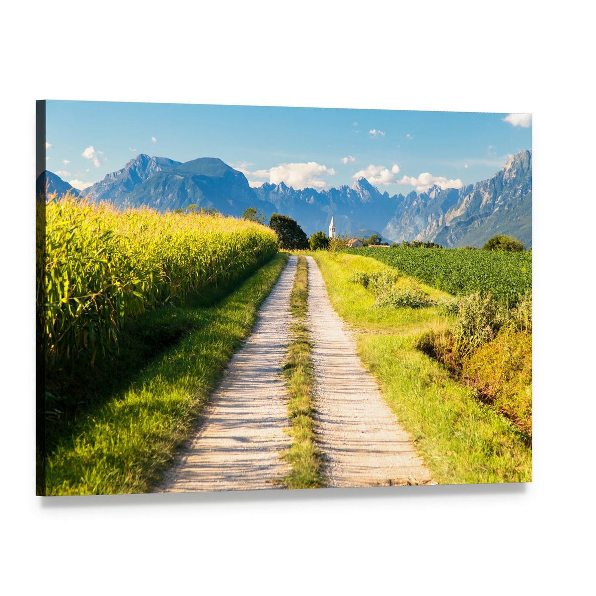 Sunlit Country Road Through Cornfields Canvas Wall Art, single panel gallery wrapped canvas, angled product view