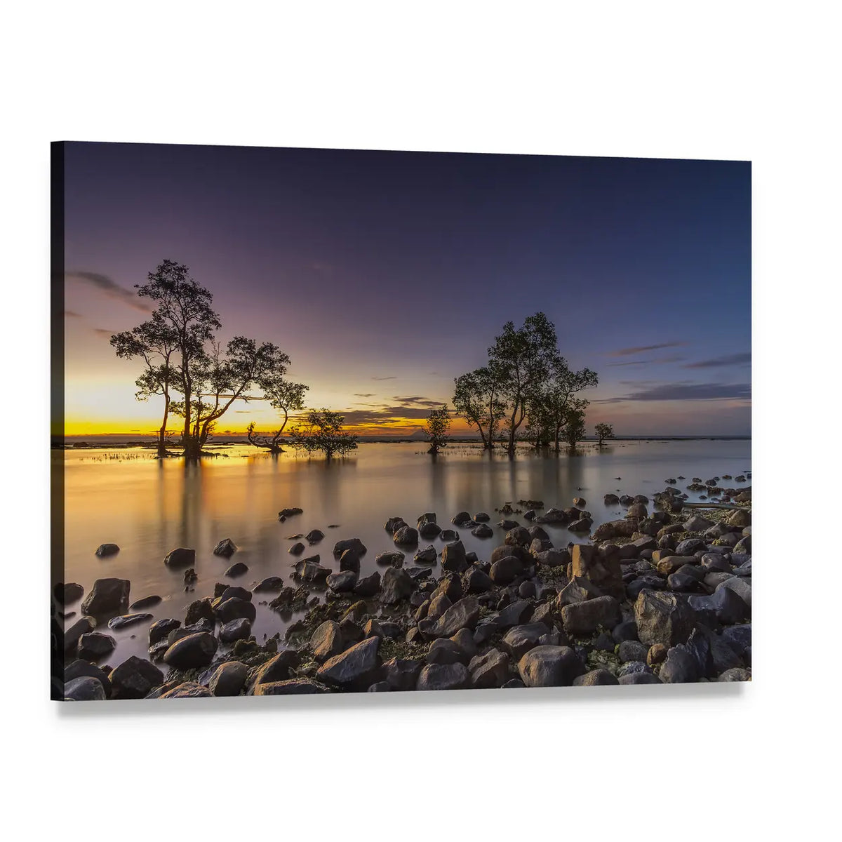 Mangroves at Sunset on Rocky Shoreline Canvas Wall Art, single panel gallery wrapped canvas, angled product view