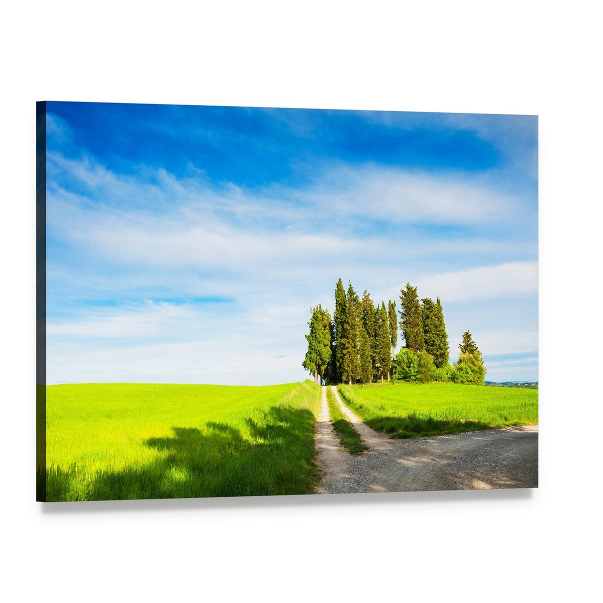 Green Fields with Cypress Trees Canvas Wall Art, single panel gallery wrapped canvas, angled product view