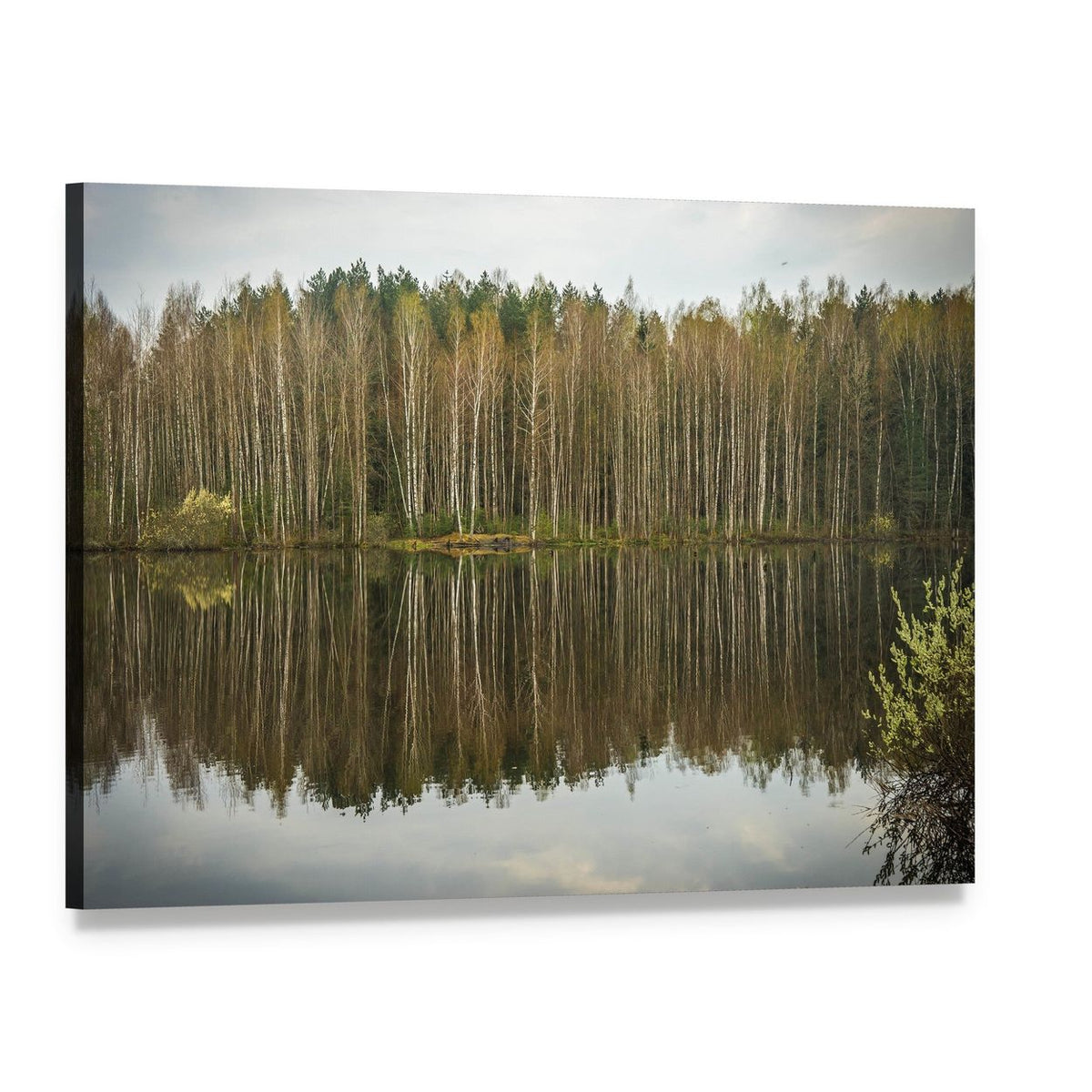 Spring Flood Birch Lake Reflection Canvas Wall Art, single panel gallery wrapped canvas, angled product view