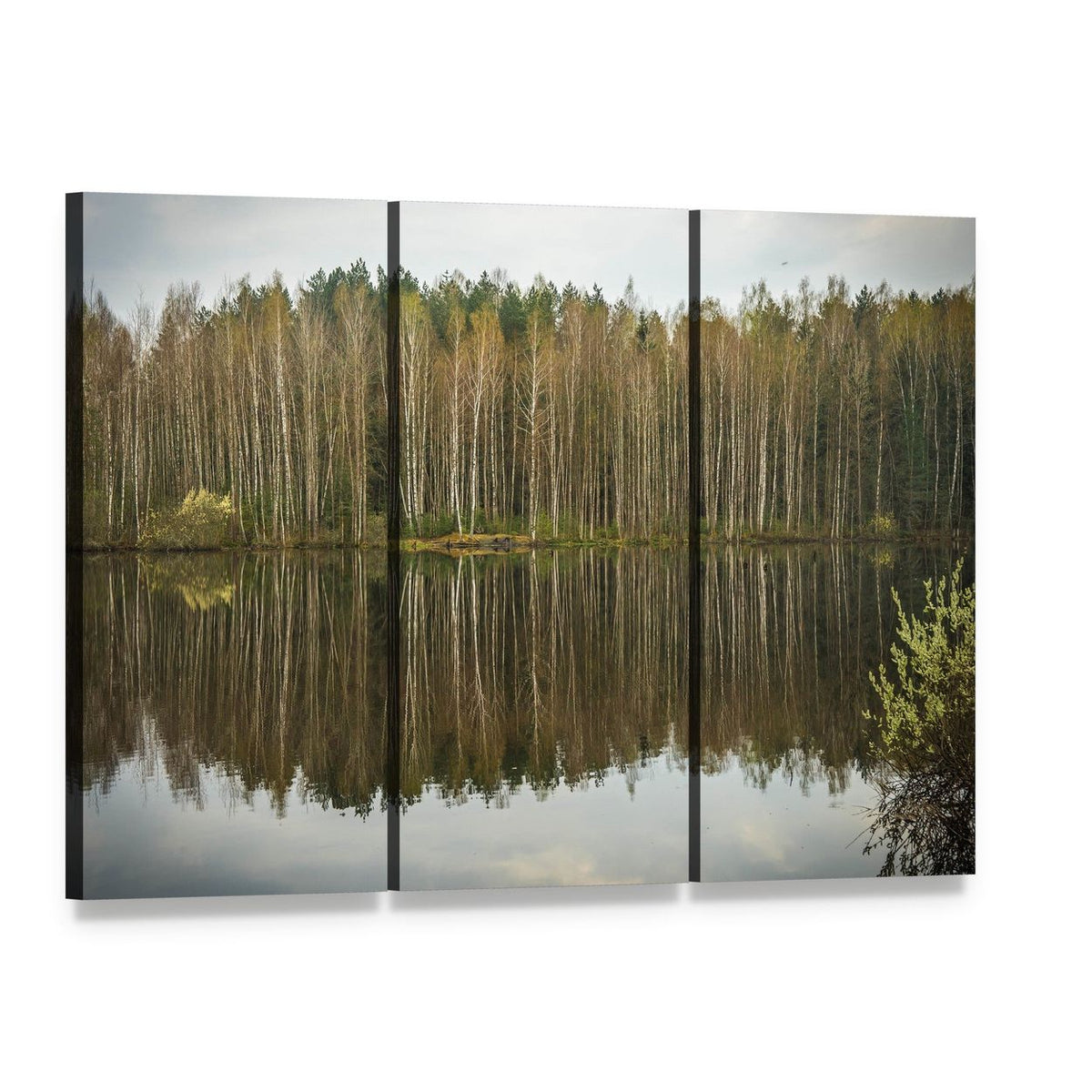 Spring Flood Birch Lake Reflection Canvas Wall Art, 3 panel 3 Horizontal layout gallery wrapped canvas set, angled product view