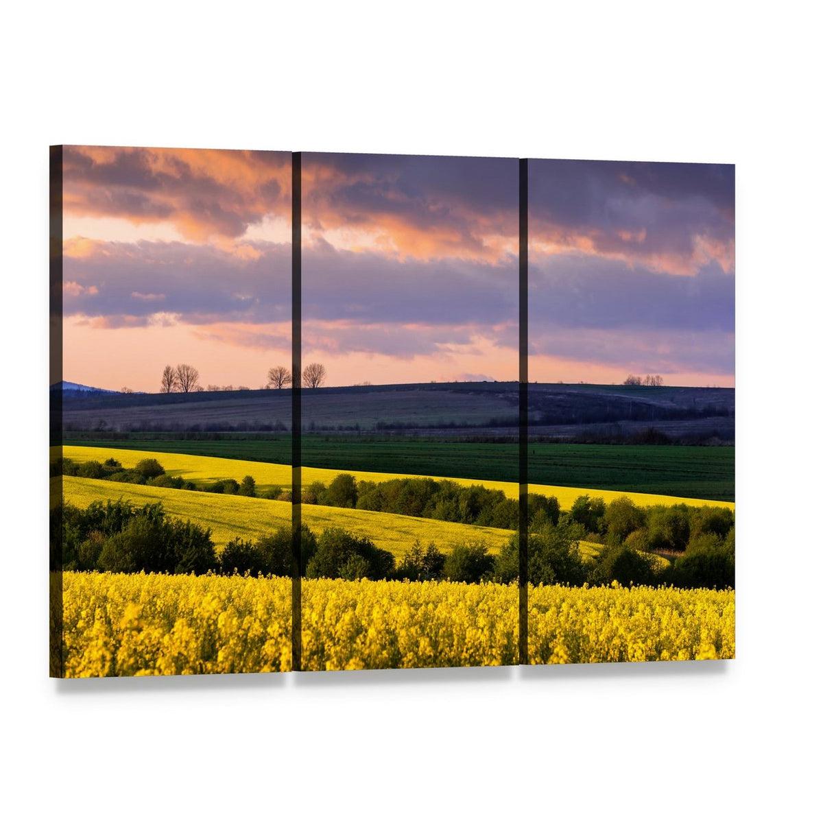 Yellow Rape Fields Under Blue Sky Canvas Wall Art, 3 panel 3 Horizontal layout gallery wrapped canvas set, angled product view