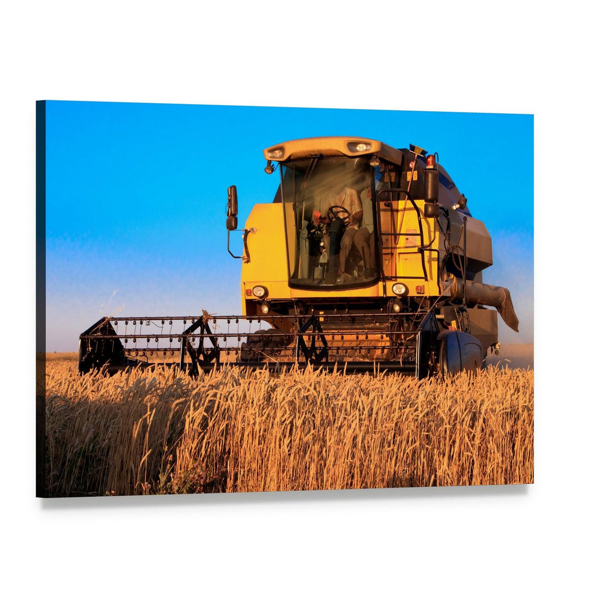 Combine Harvester in Wheat Field Canvas Wall Art, single panel gallery wrapped canvas, angled product view