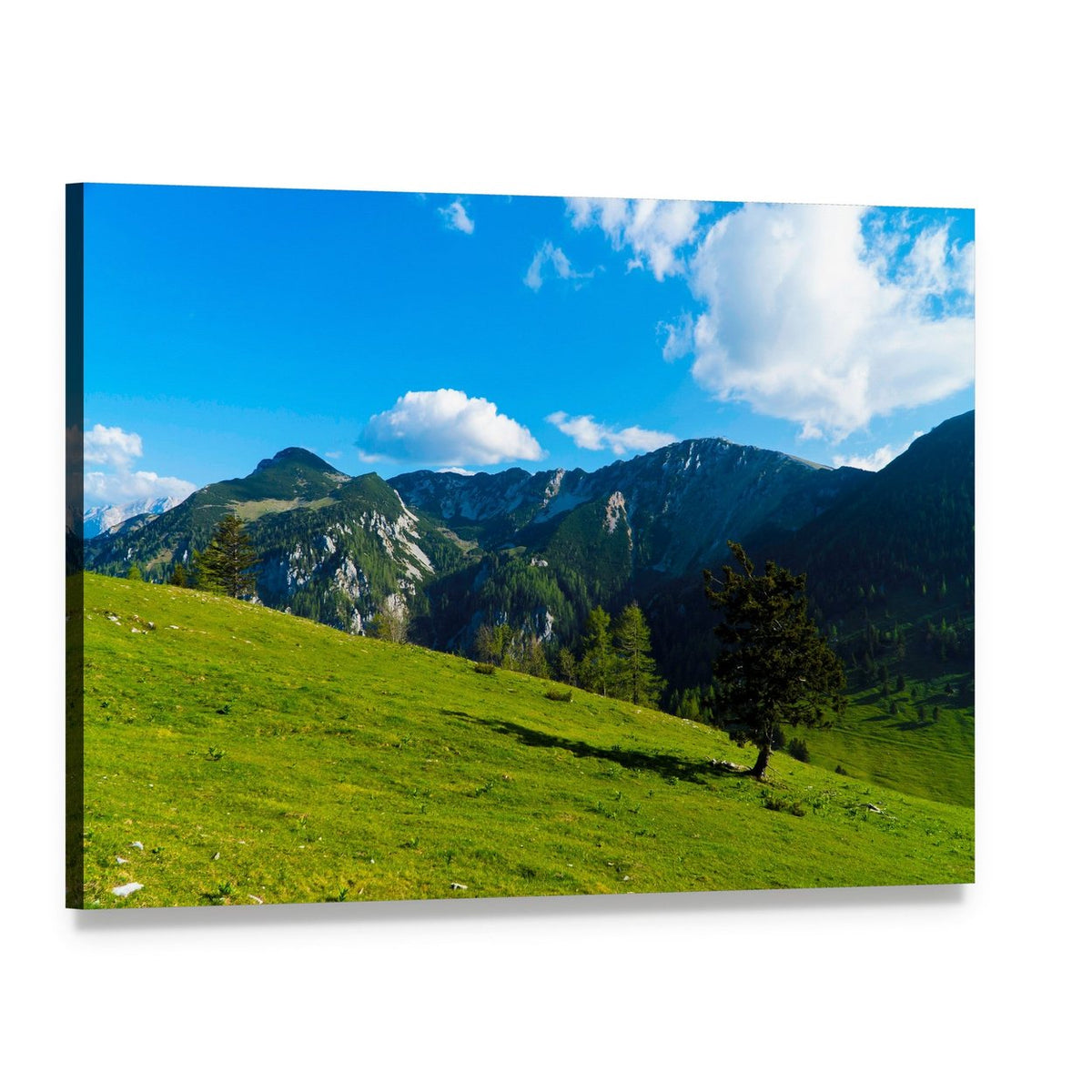 Lone Tree on Green Hillside Canvas Wall Art, single panel gallery wrapped canvas, angled product view