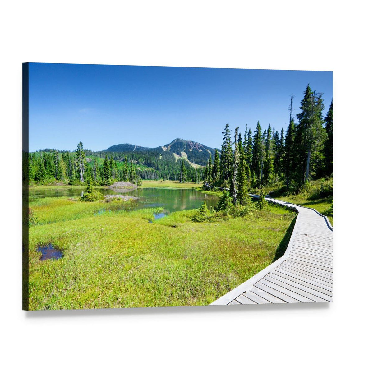 Alpine Trail in Canada Canvas Wall Art, single panel gallery wrapped canvas, angled product view