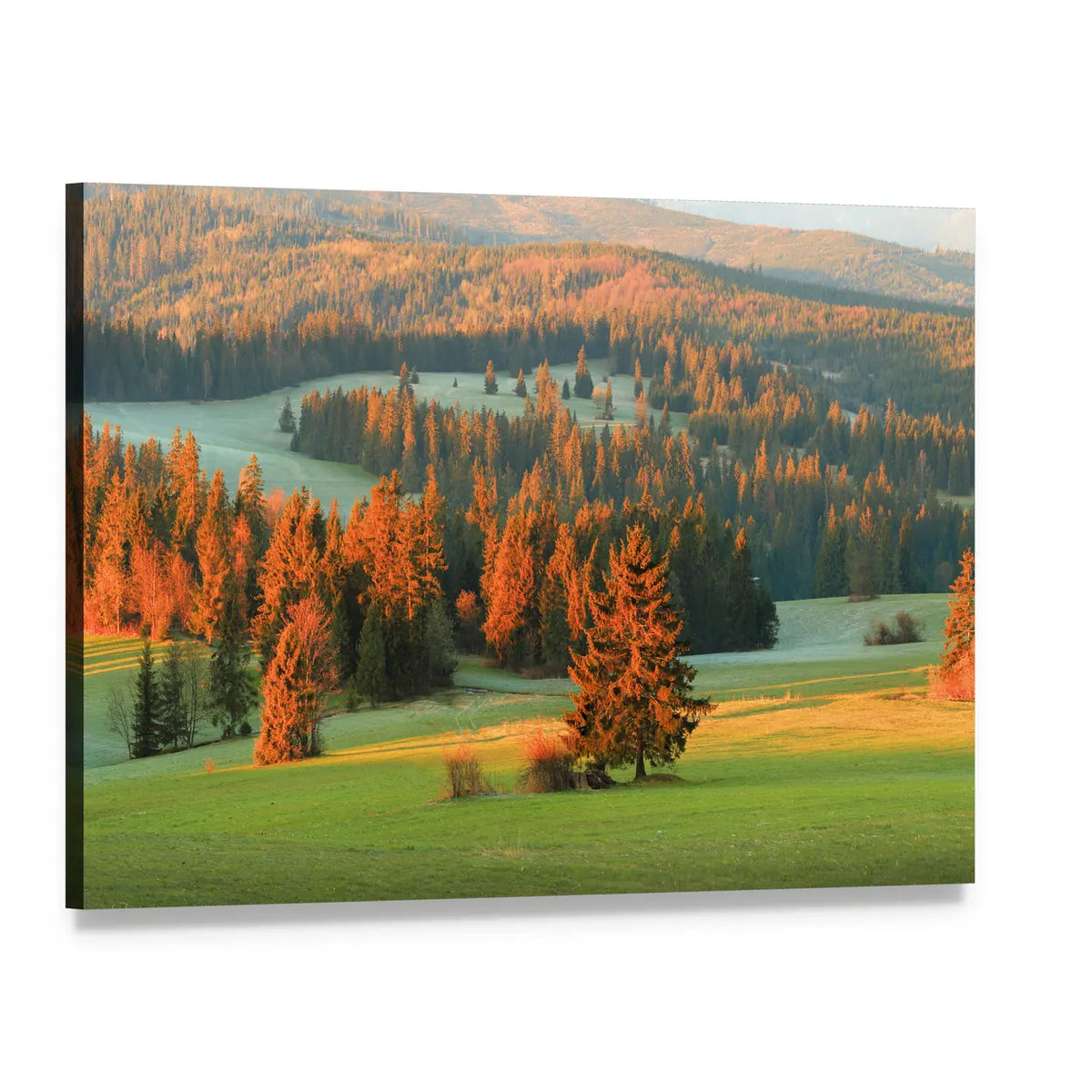 Autumn Valley Meadow and Mountains Canvas Wall Art, single panel gallery wrapped canvas, angled product view