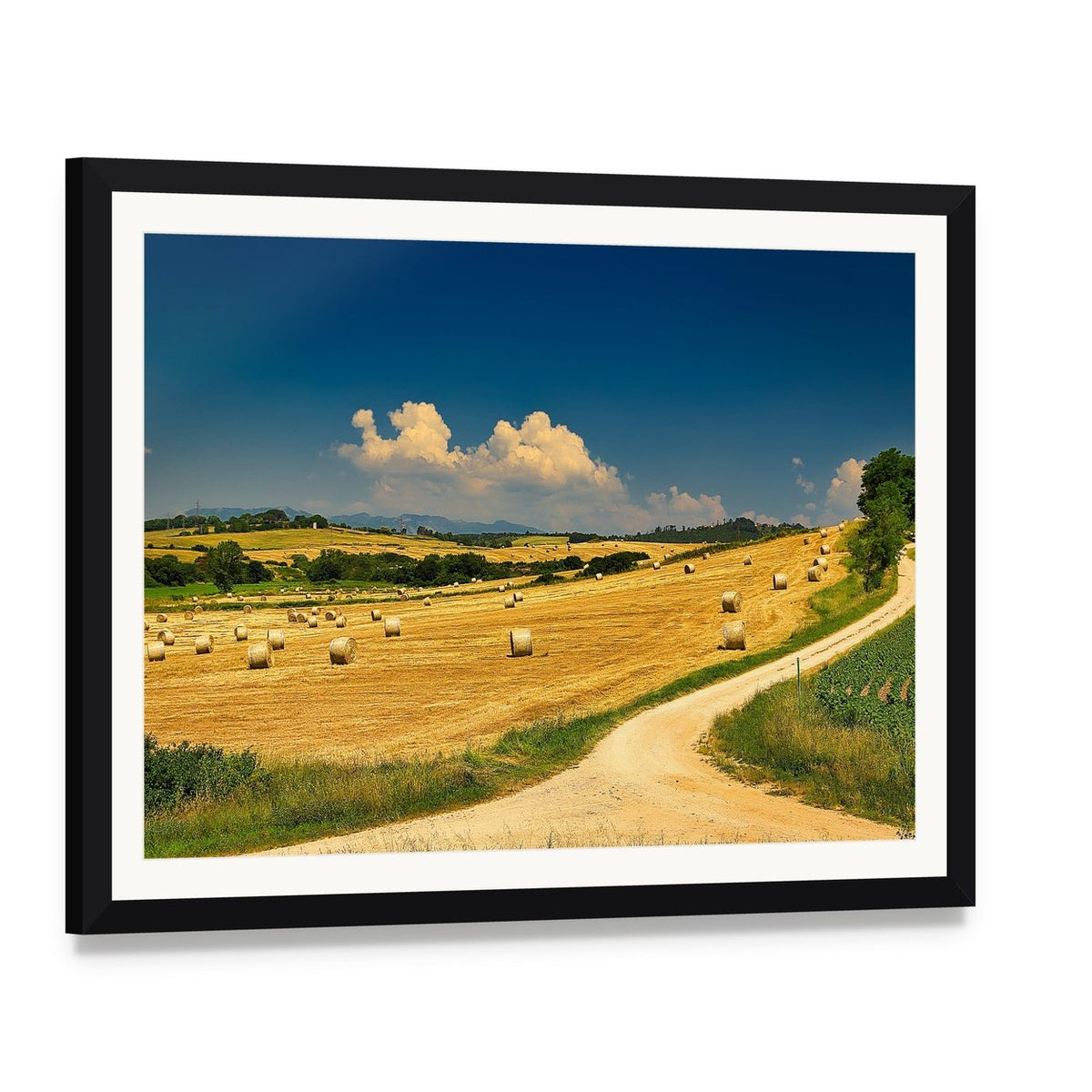 Hay Bales on Harvested Field Canvas Wall Art, framed print with white mat and black frame, angled product view
