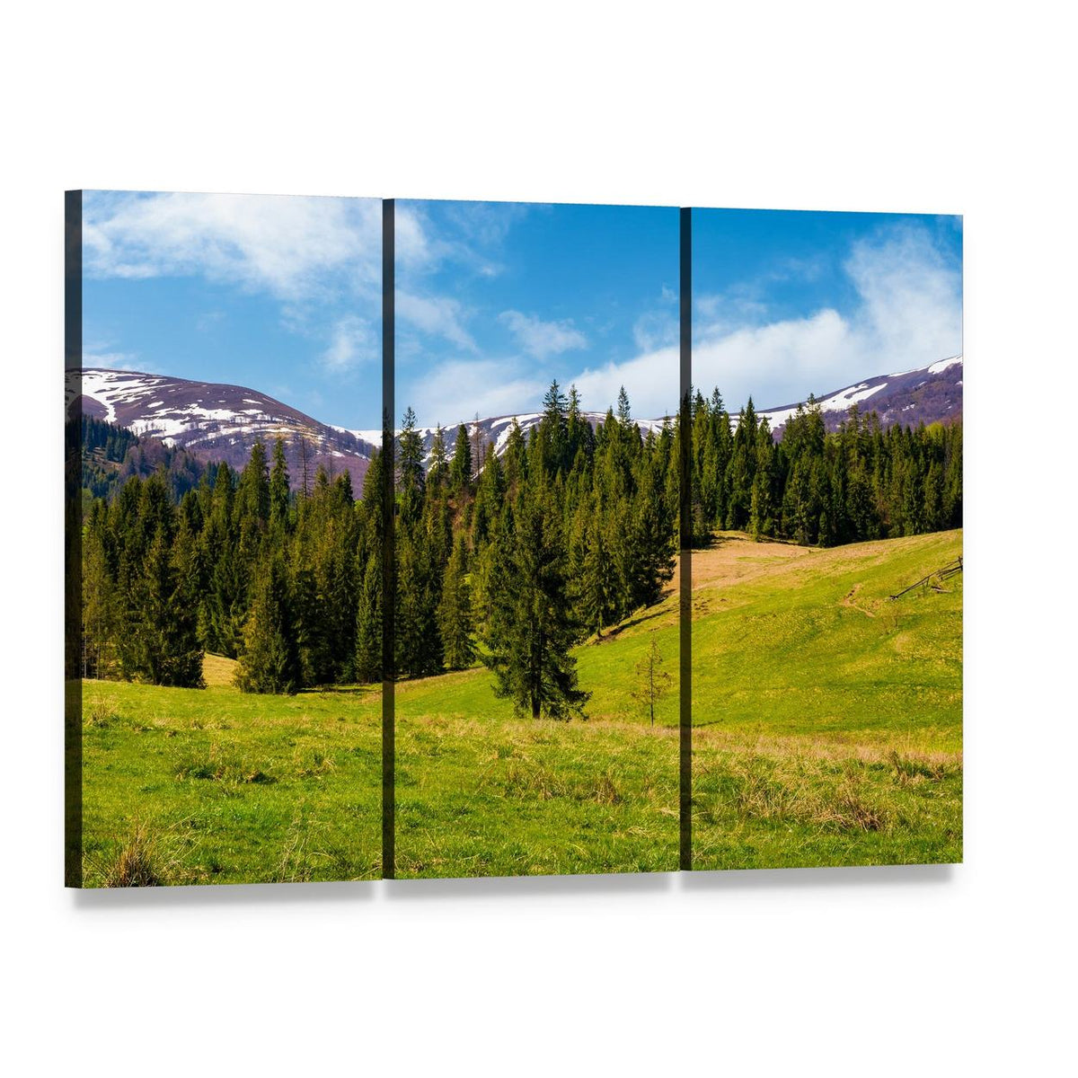Spruce Forest on Grassy Hills Canvas Wall Art, 3 panel 3 Horizontal layout gallery wrapped canvas set, angled product view