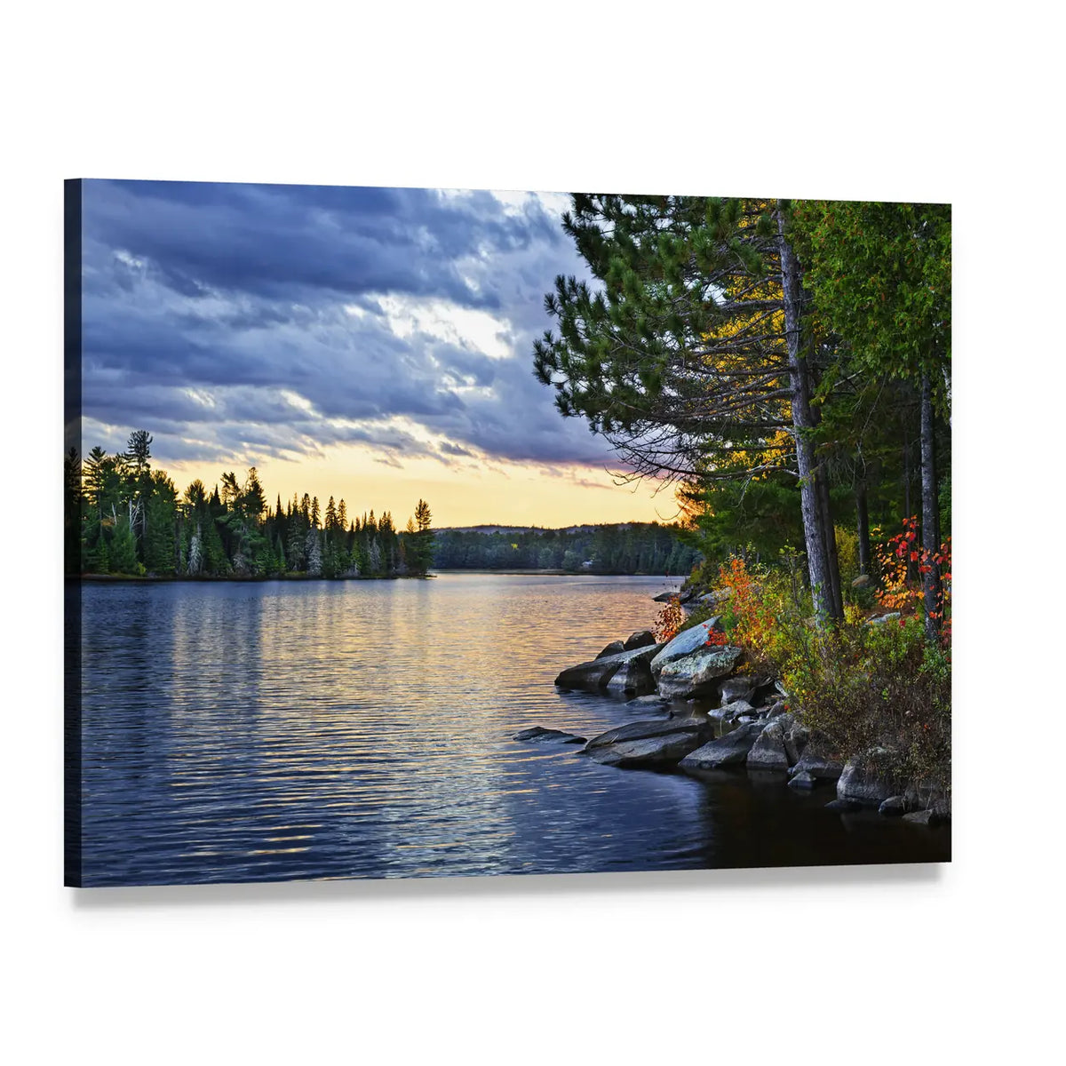 Pines at Lake of Two Rivers Canvas Wall Art, single panel gallery wrapped canvas, angled product view