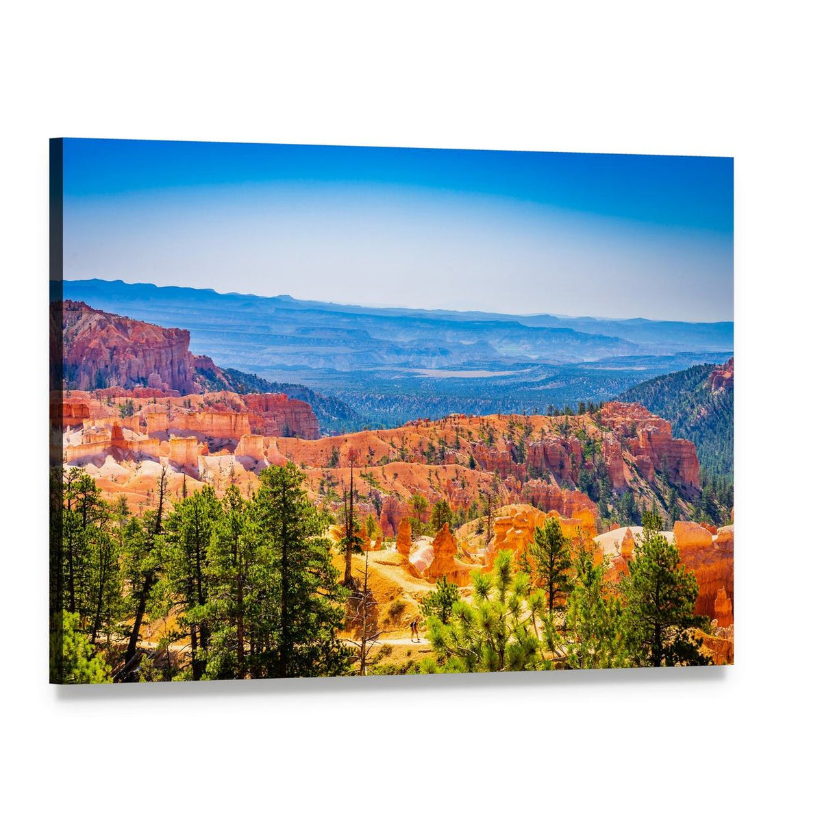 Bryce Canyon Hoodoos with Pine Trees Canvas Wall Art, single panel gallery wrapped canvas, angled product view