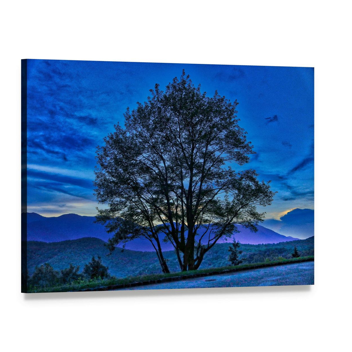 Tree on Blue Ridge Parkway Canvas Wall Art, single panel gallery wrapped canvas, angled product view