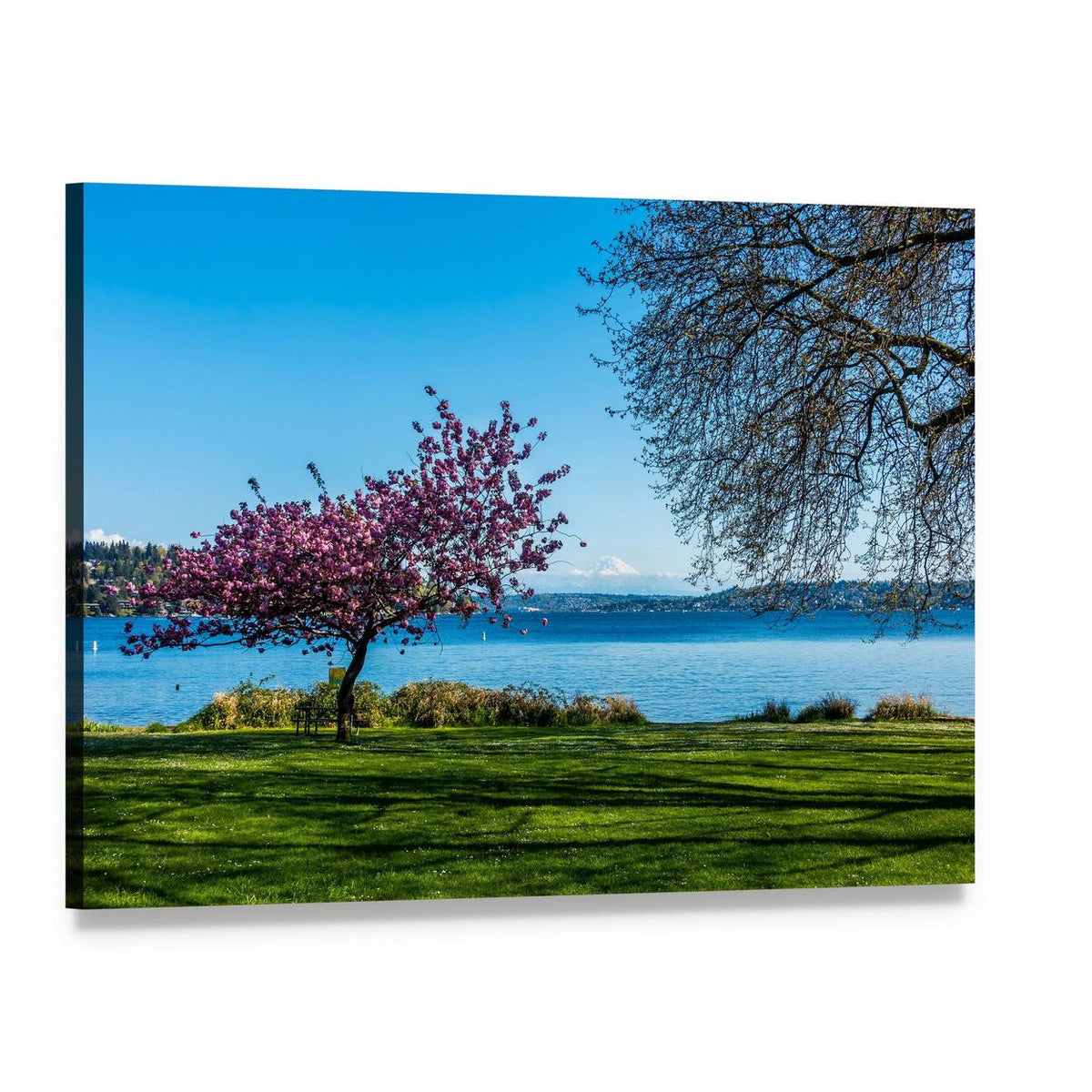 Cherry Tree Beside Lake with Snowy Mountain Canvas Wall Art, single panel gallery wrapped canvas, angled product view