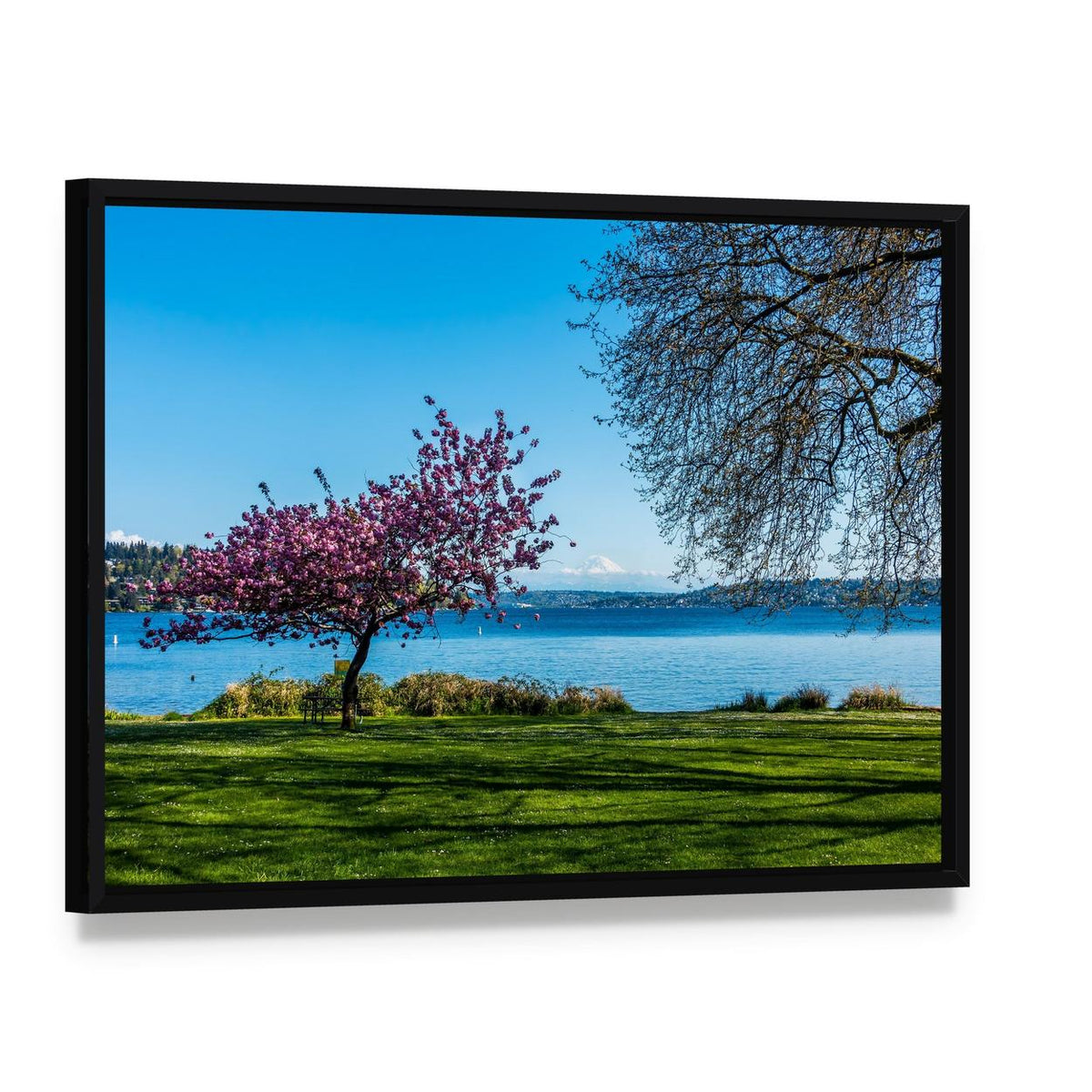 Cherry Tree Beside Lake with Snowy Mountain Canvas Wall Art, framed canvas in a black floater frame, angled product view