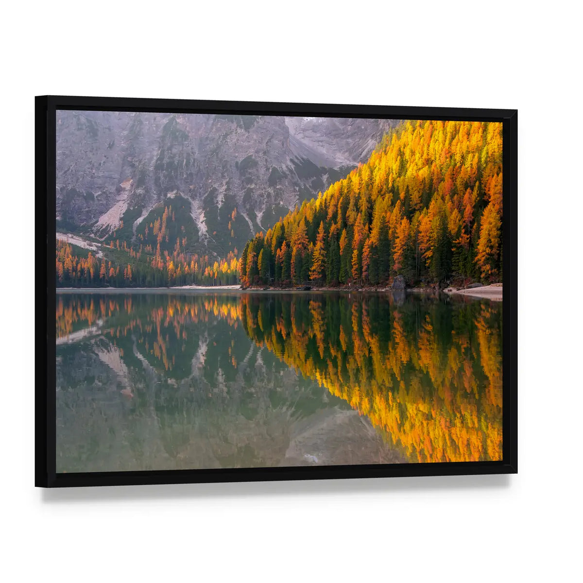 Braies Lake in Autumn Canvas Wall Art, framed canvas in a black floater frame, angled product view