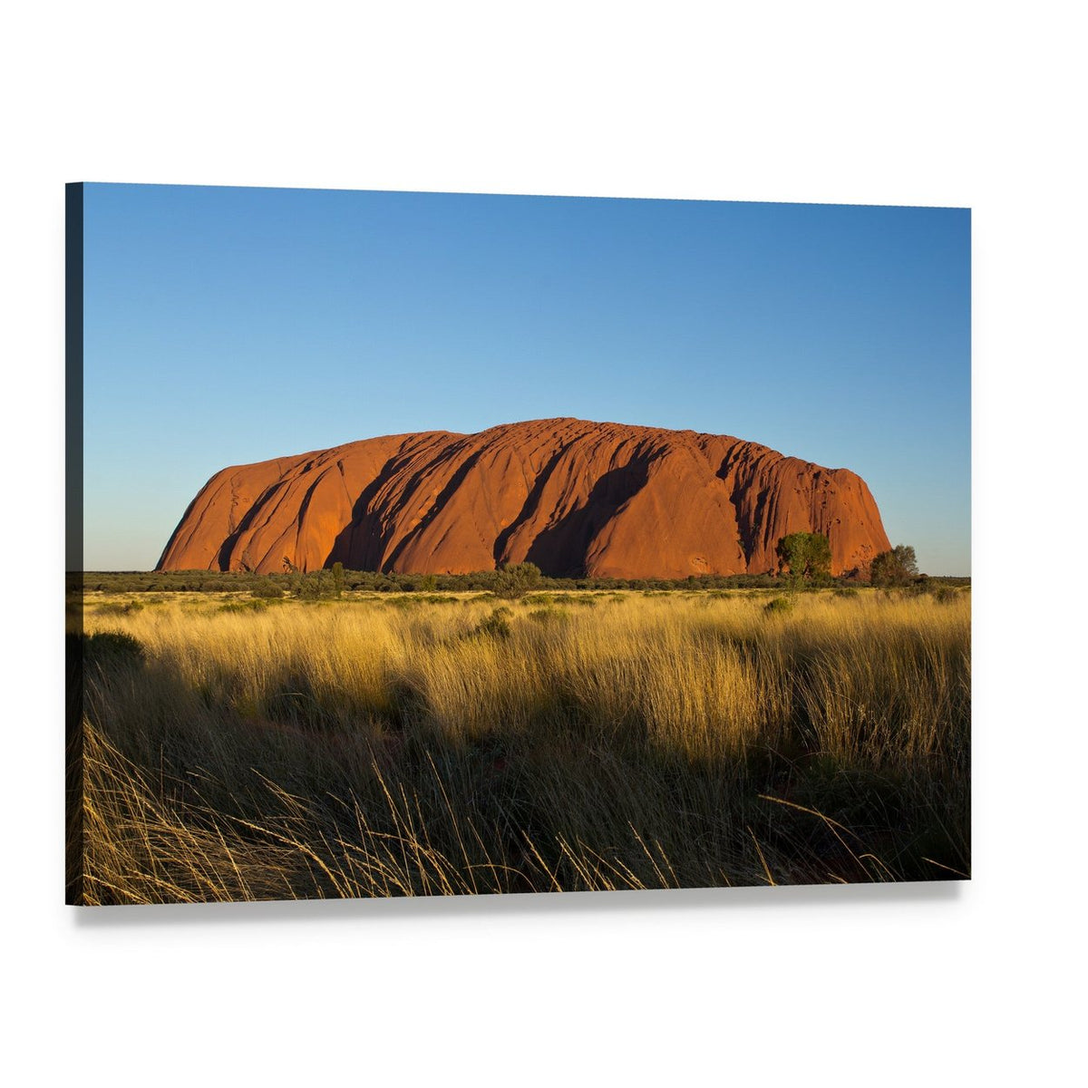 Ayers Rock in the Evening Canvas Wall Art, single panel gallery wrapped canvas, angled product view