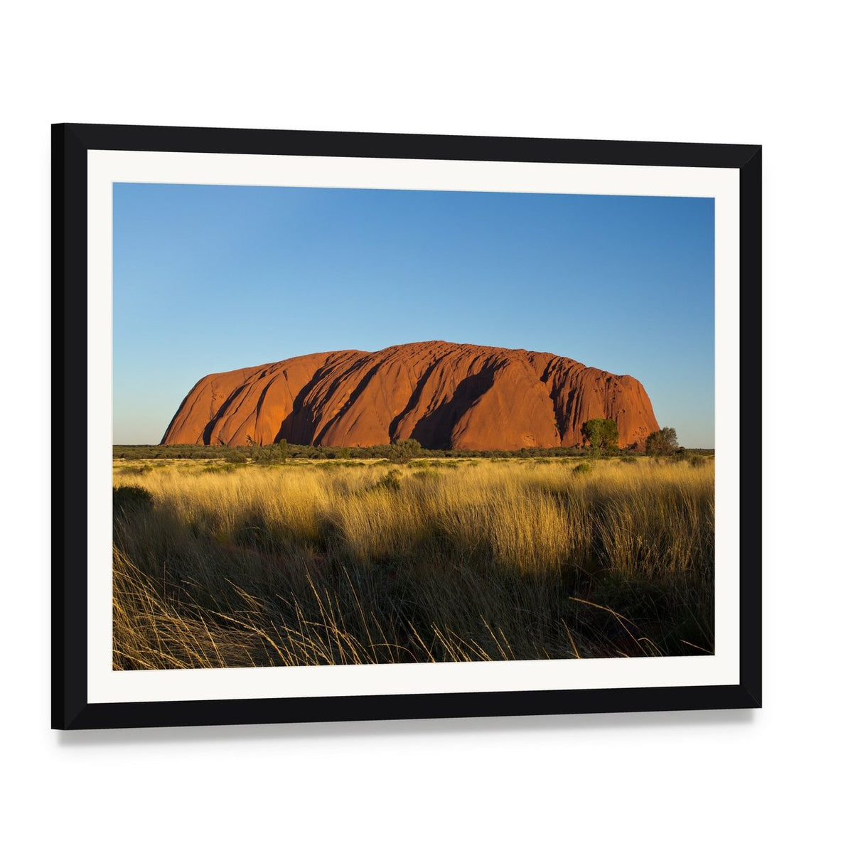 Ayers Rock in the Evening Canvas Wall Art, framed print with white mat and black frame, angled product view