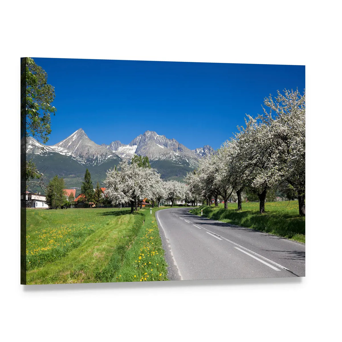 Spring Road to High Tatras Canvas Wall Art, single panel gallery wrapped canvas, angled product view
