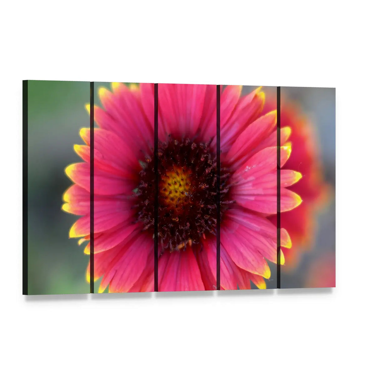 Blanket Flower Macro Close-up Canvas Wall Art, 5 panel 5 Horizontal layout gallery wrapped canvas set, angled product view