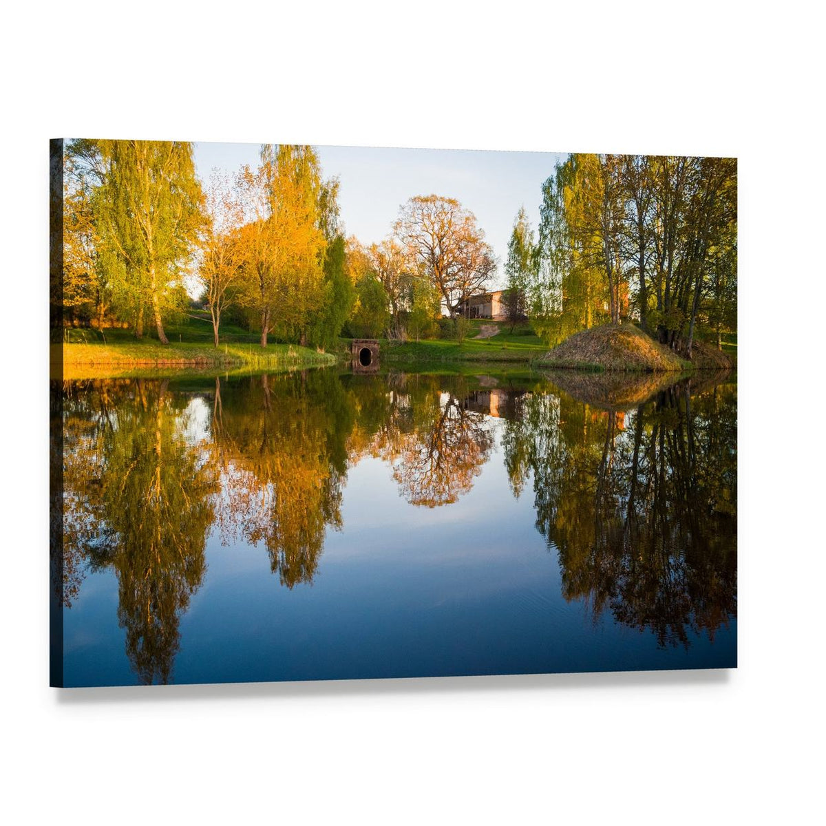 Golden Hour Trees Reflected in Lake Canvas Wall Art, single panel gallery wrapped canvas, angled product view