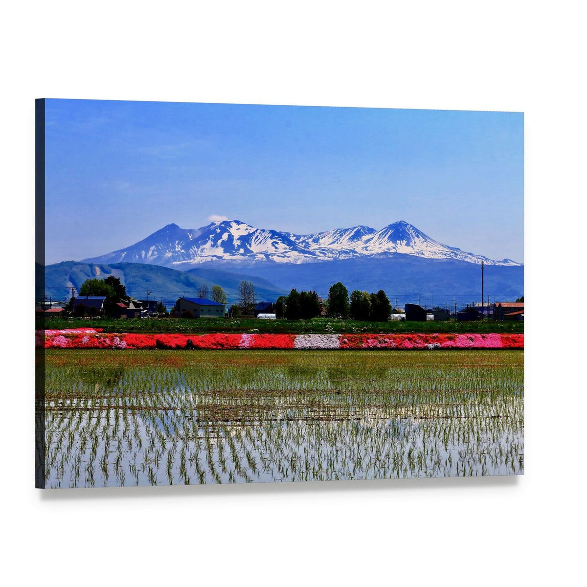 Snow-capped Mountains Over Reflective Rice Paddies Canvas Wall Art, single panel gallery wrapped canvas, angled product view