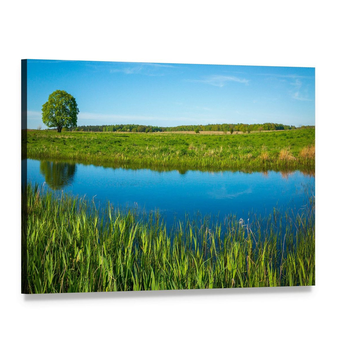 Summer Landscape Near a Pond Canvas Wall Art, single panel gallery wrapped canvas, angled product view