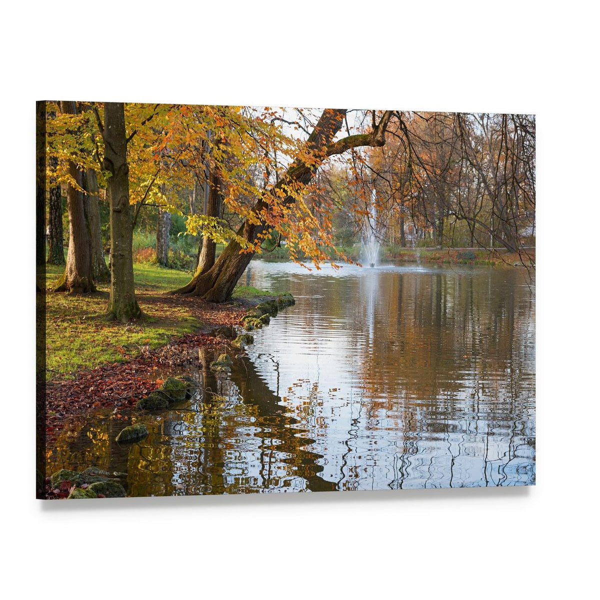 Beech Trees by Pond Canvas Wall Art, single panel gallery wrapped canvas, angled product view