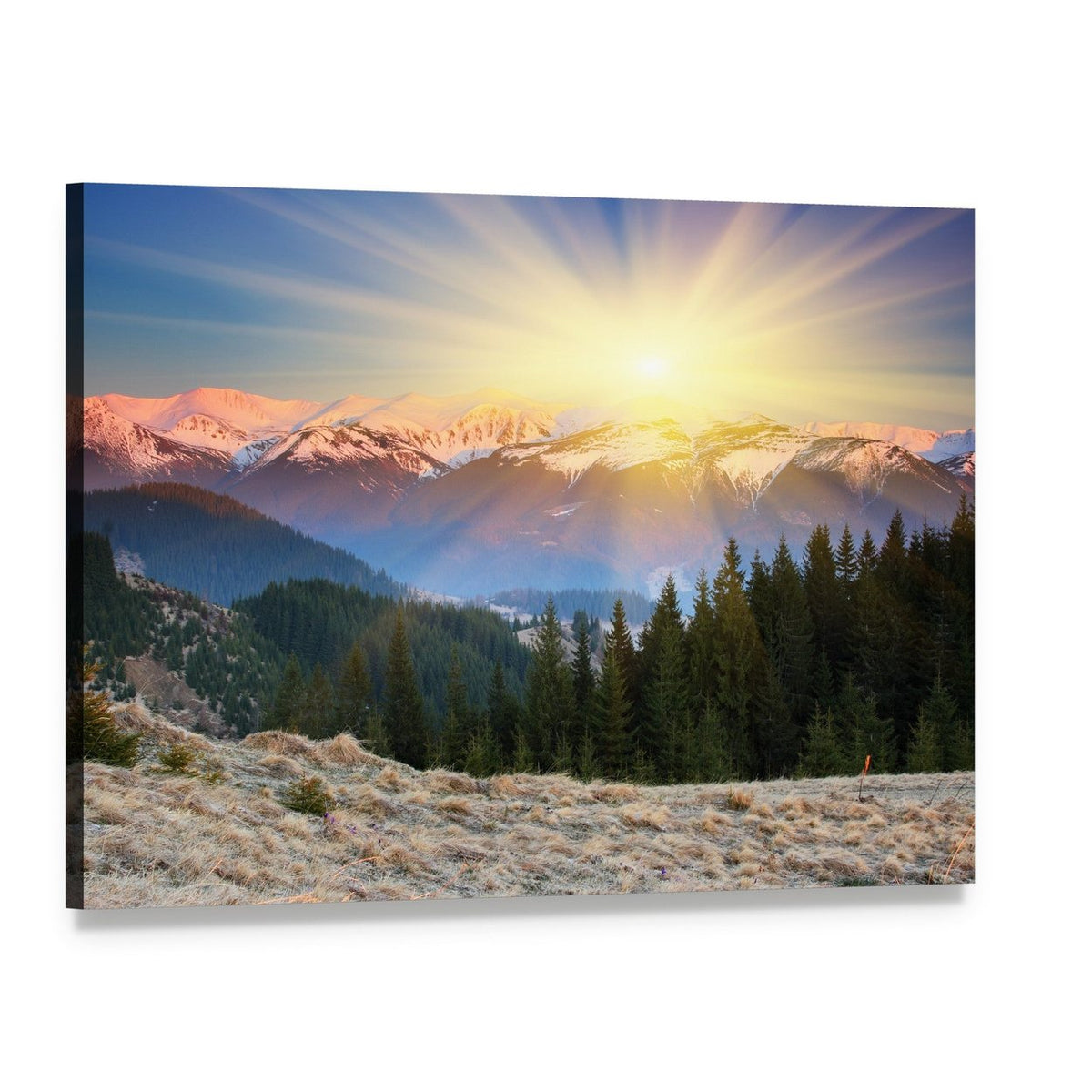 Snow-capped Mountain Sunrise with Pine Forest Canvas Wall Art, single panel gallery wrapped canvas, angled product view