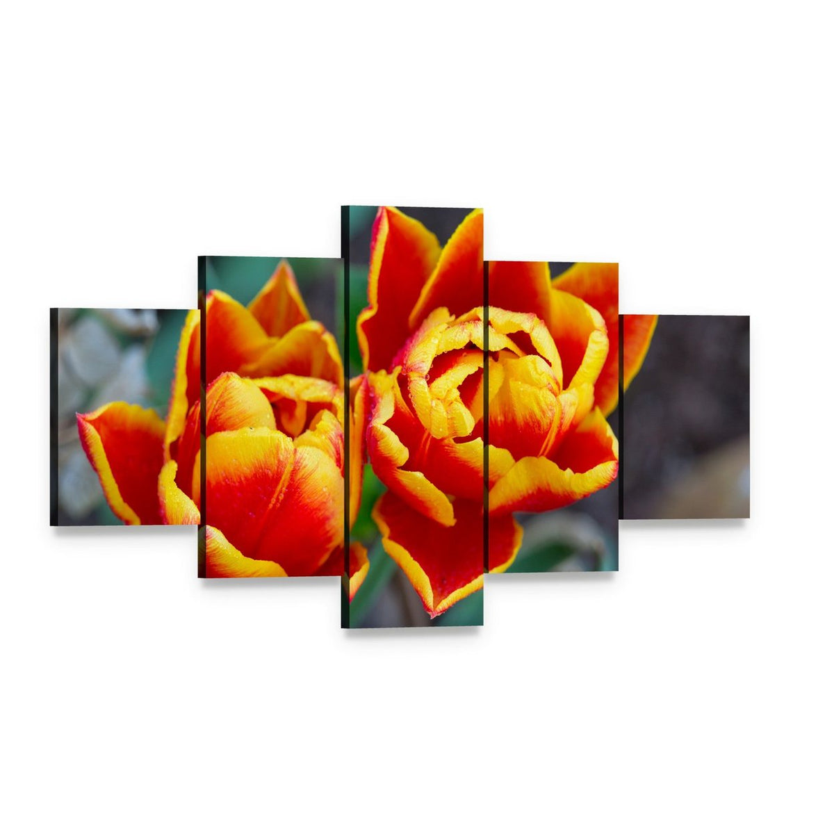Red Tulips Close-up Canvas Wall Art, 5 panel 5 Star layout gallery wrapped canvas set, angled product view