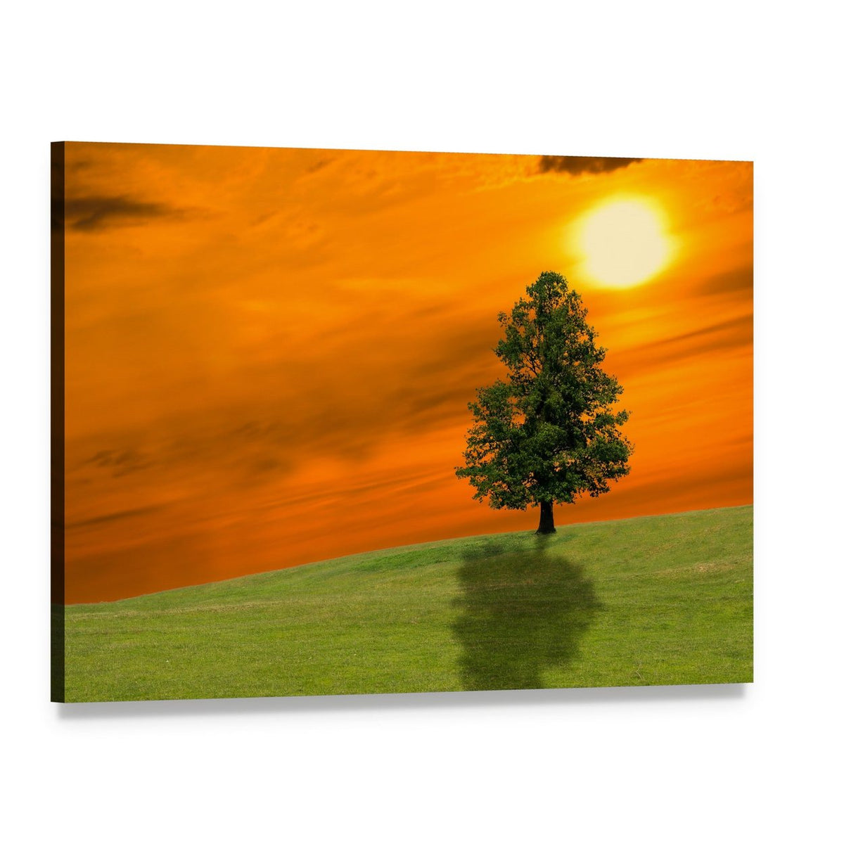 Lonely Tree on Field at Sunset Canvas Wall Art, single panel gallery wrapped canvas, angled product view